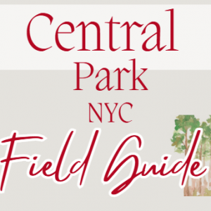 Central Park Bird Checklist + Field Guide (Laminated Physical Copy)