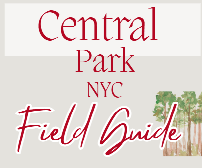 Central Park Self-Guided Checklist + Bird Field Guide (Digital Download)